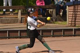 Softball Game1